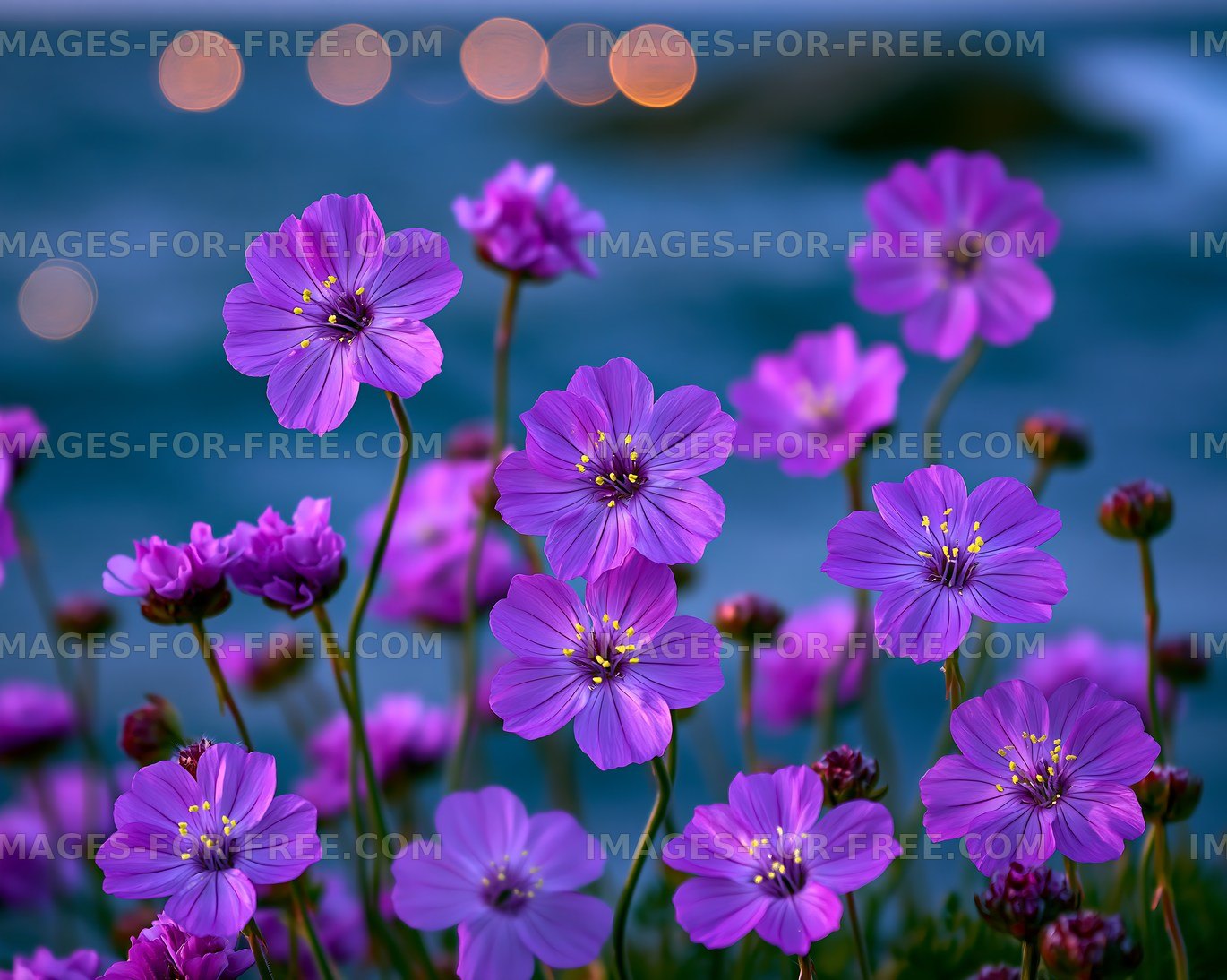 Purple flowers in bloom near the ocean at sunset