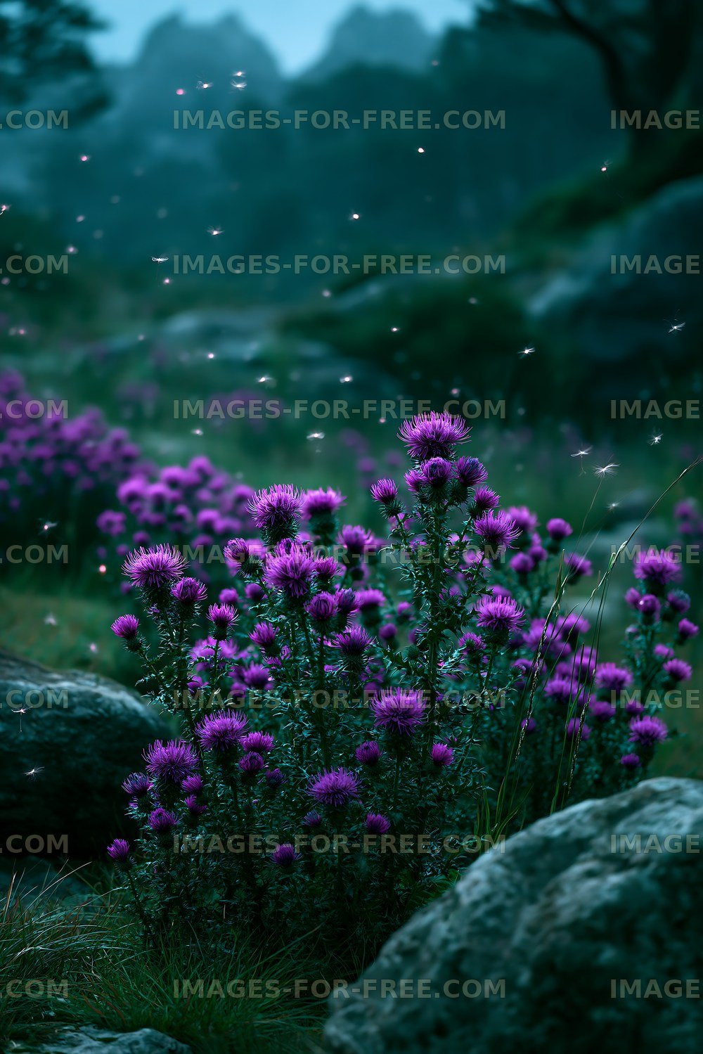 Purple wildflowers bloom in a rocky landscape at dusk