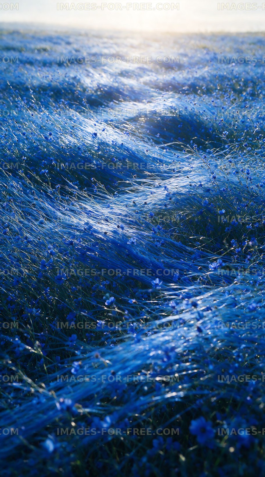 Vibrant blue field with flowers under morning light
