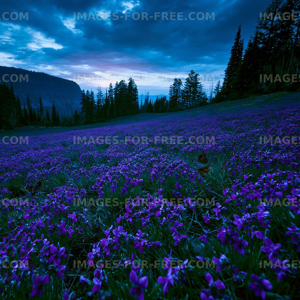 Violet flowers blanket a field under cloudy sky