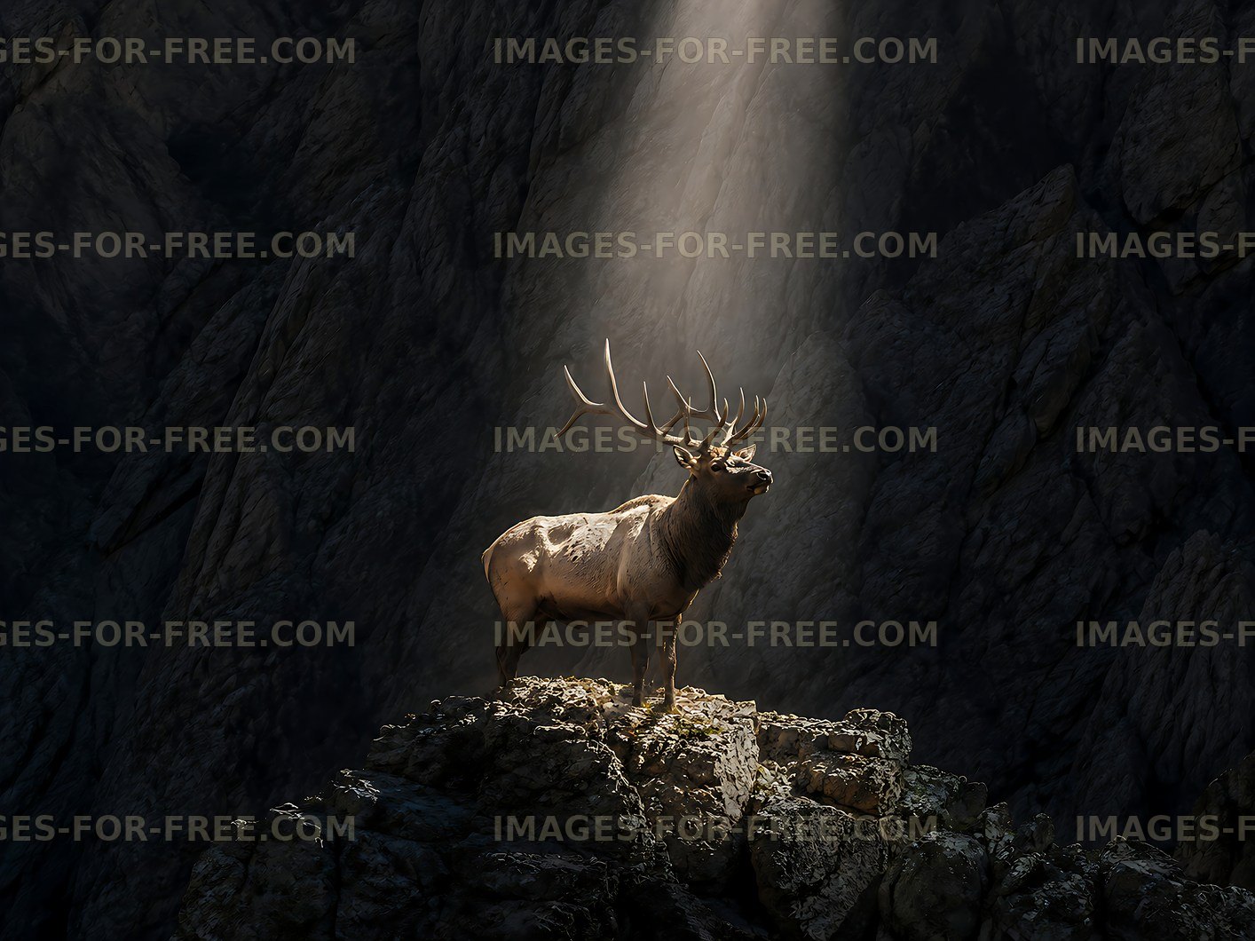 Elk standing tall on rock with sunlight shining down