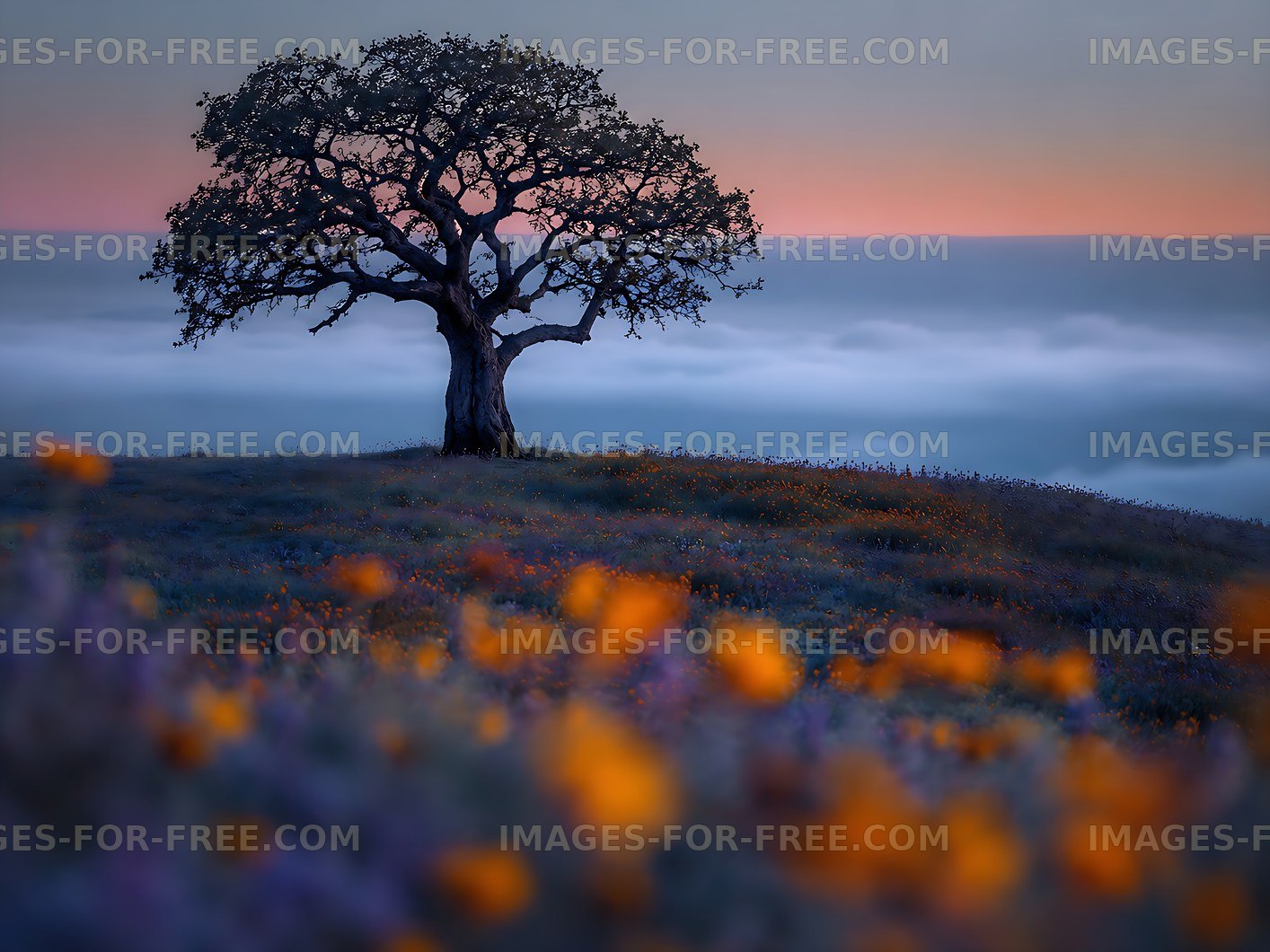 Tree on a hill with flowers and clouds at sunset