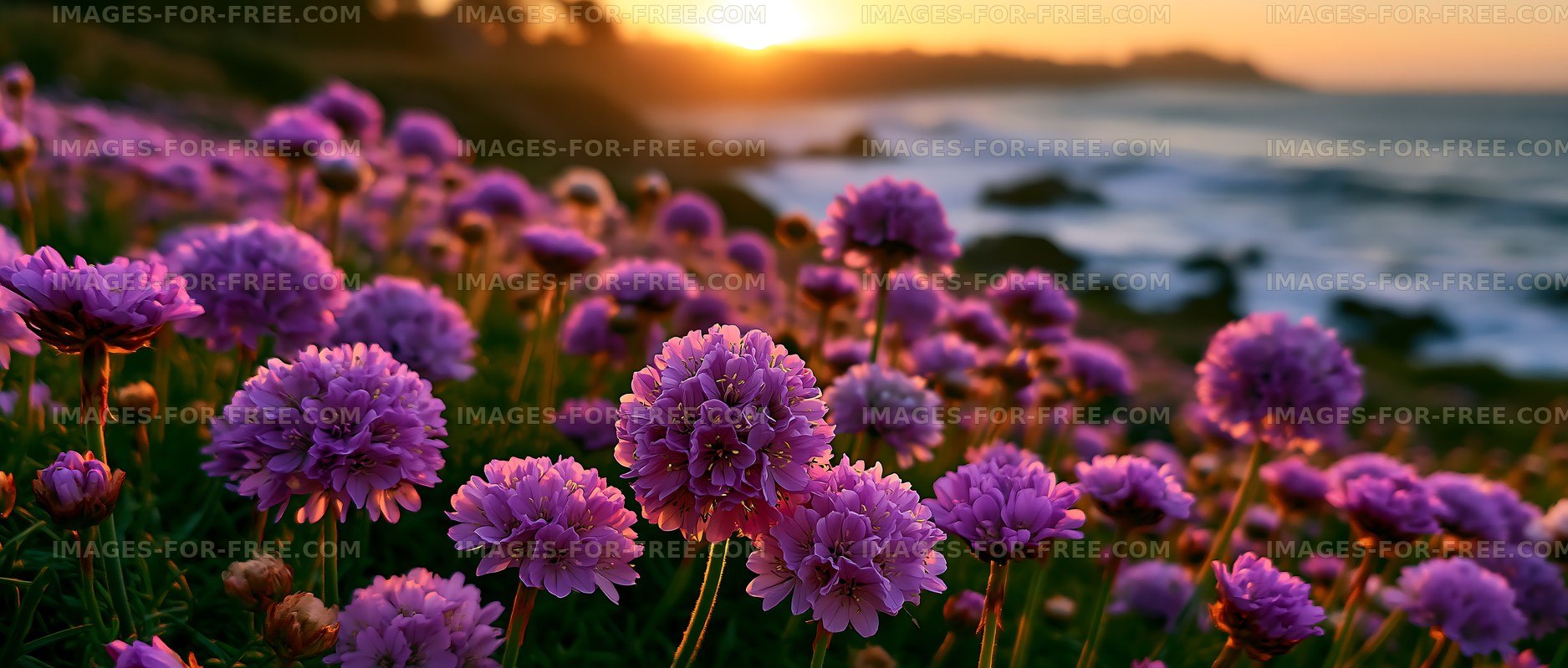 Vibrant flowers blooming near the ocean at sunset