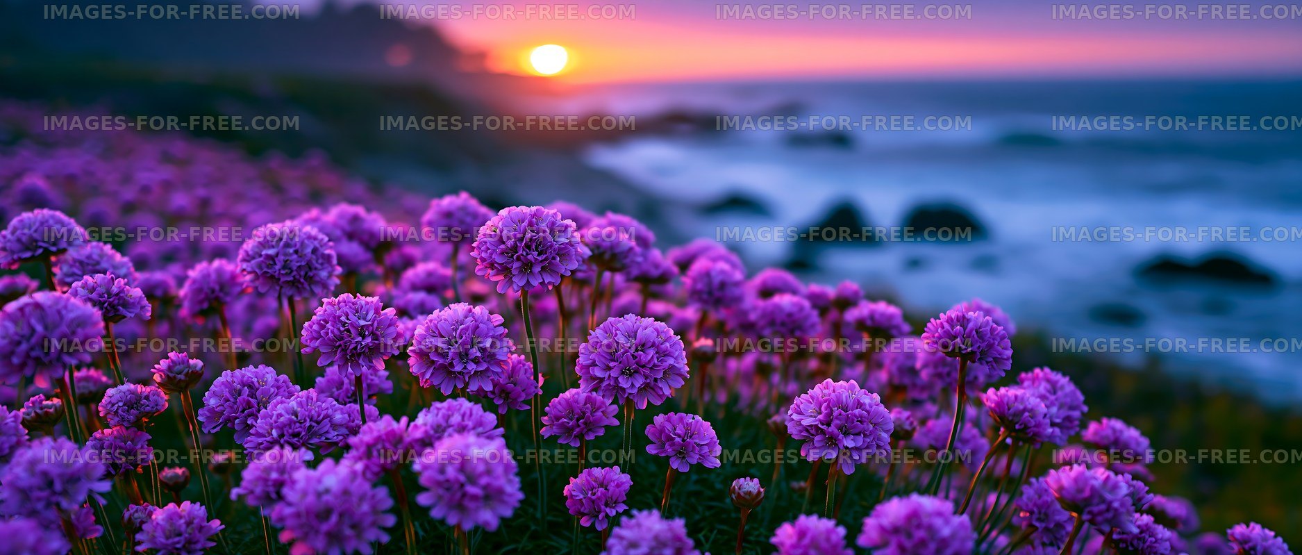 Vibrant flowers bloom near the ocean at sunset