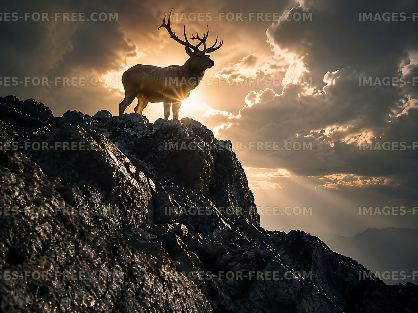 Stag standing on rocky ledge during sunset