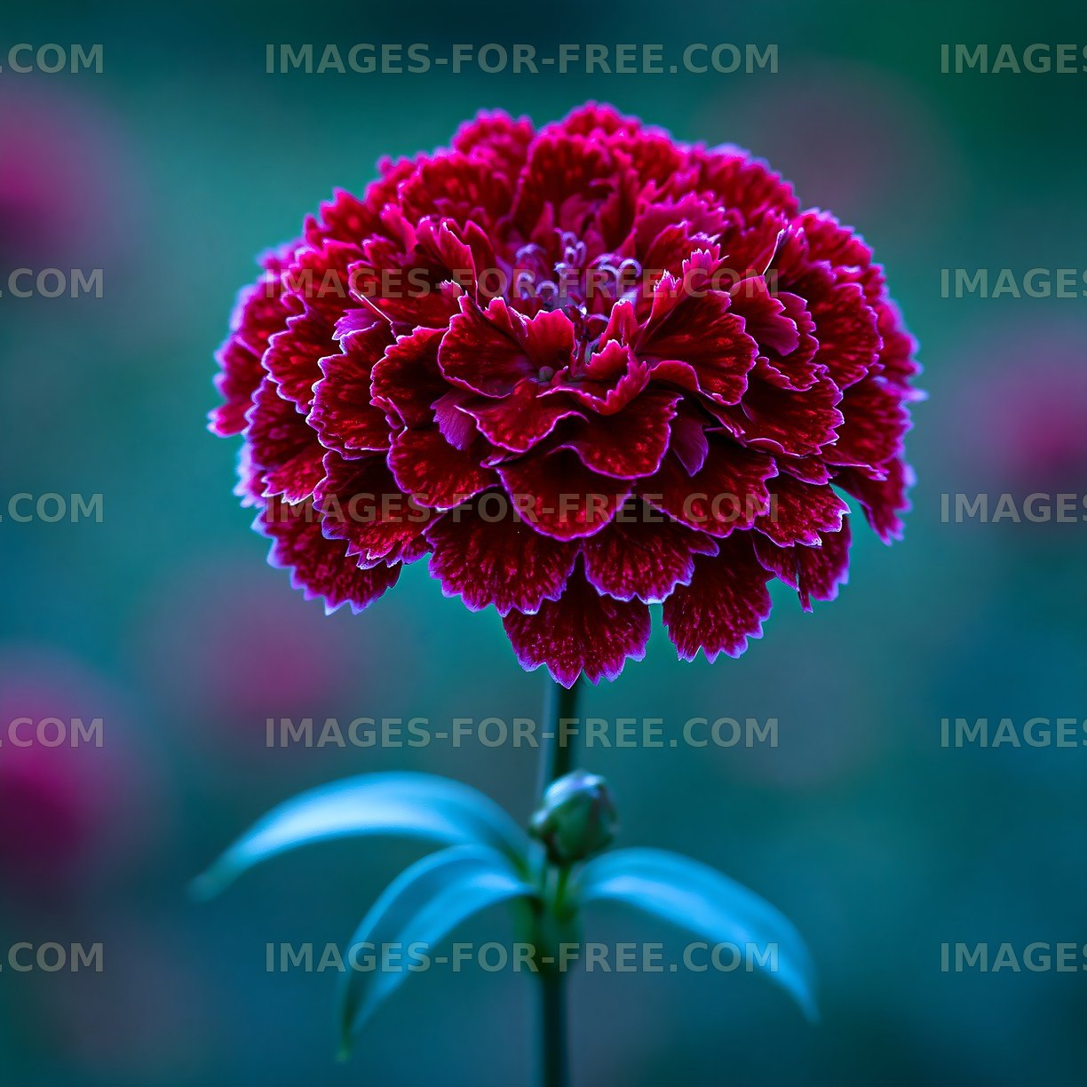 Bright red flower in a garden setting