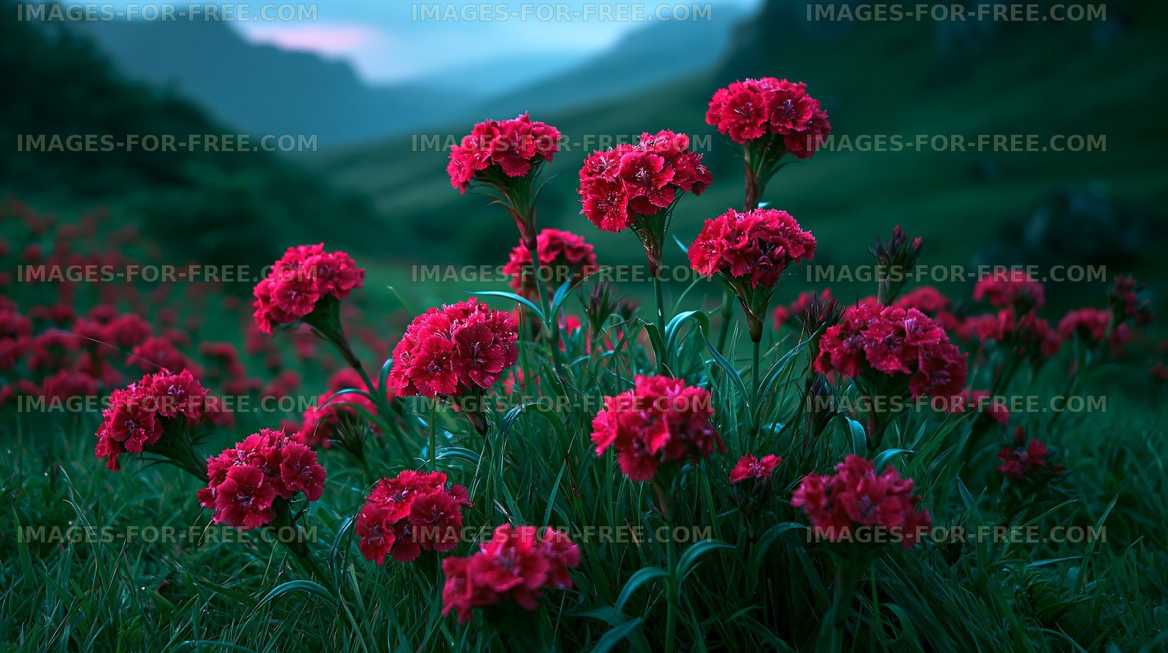 Vibrant red flowers bloom in a green hillside landscape