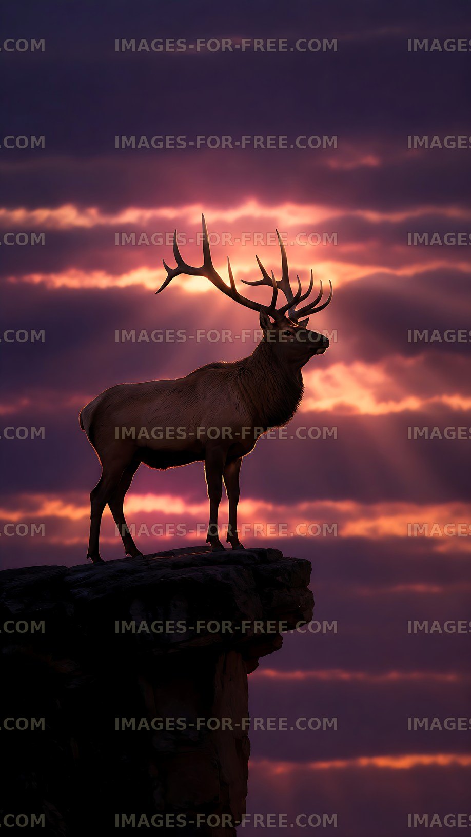Stag standing on a rock with sunset in the background