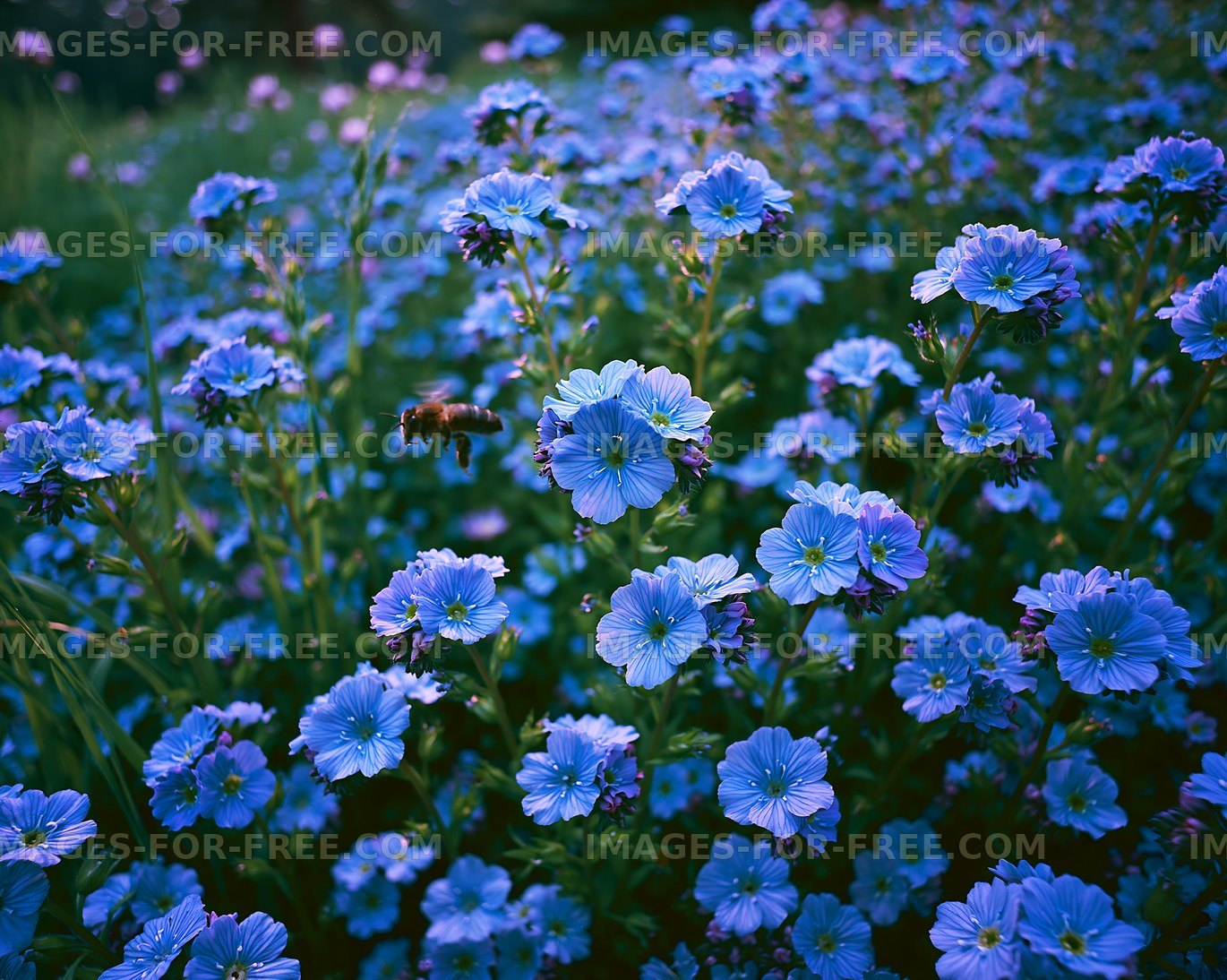 Blue flowers blooming in a field during daytime