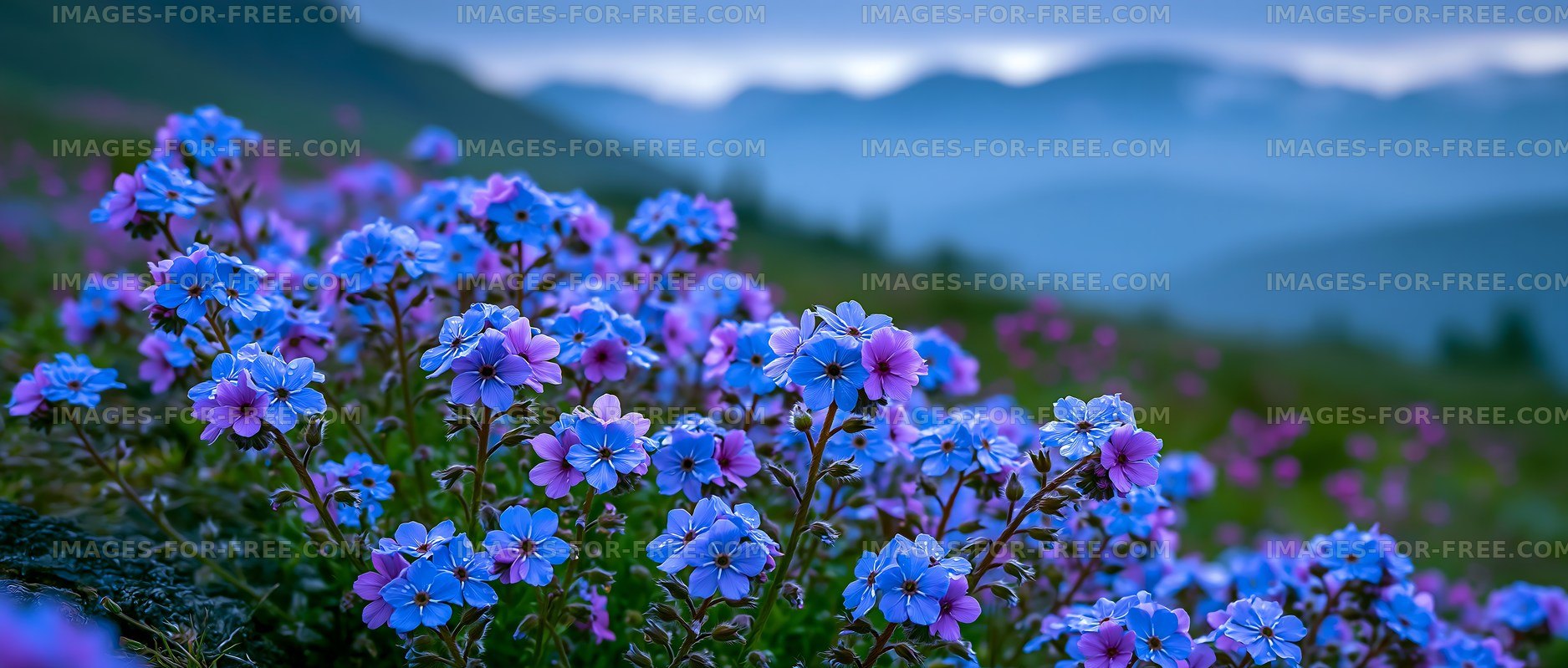 Vibrant flowers bloom in a mountain landscape at dusk