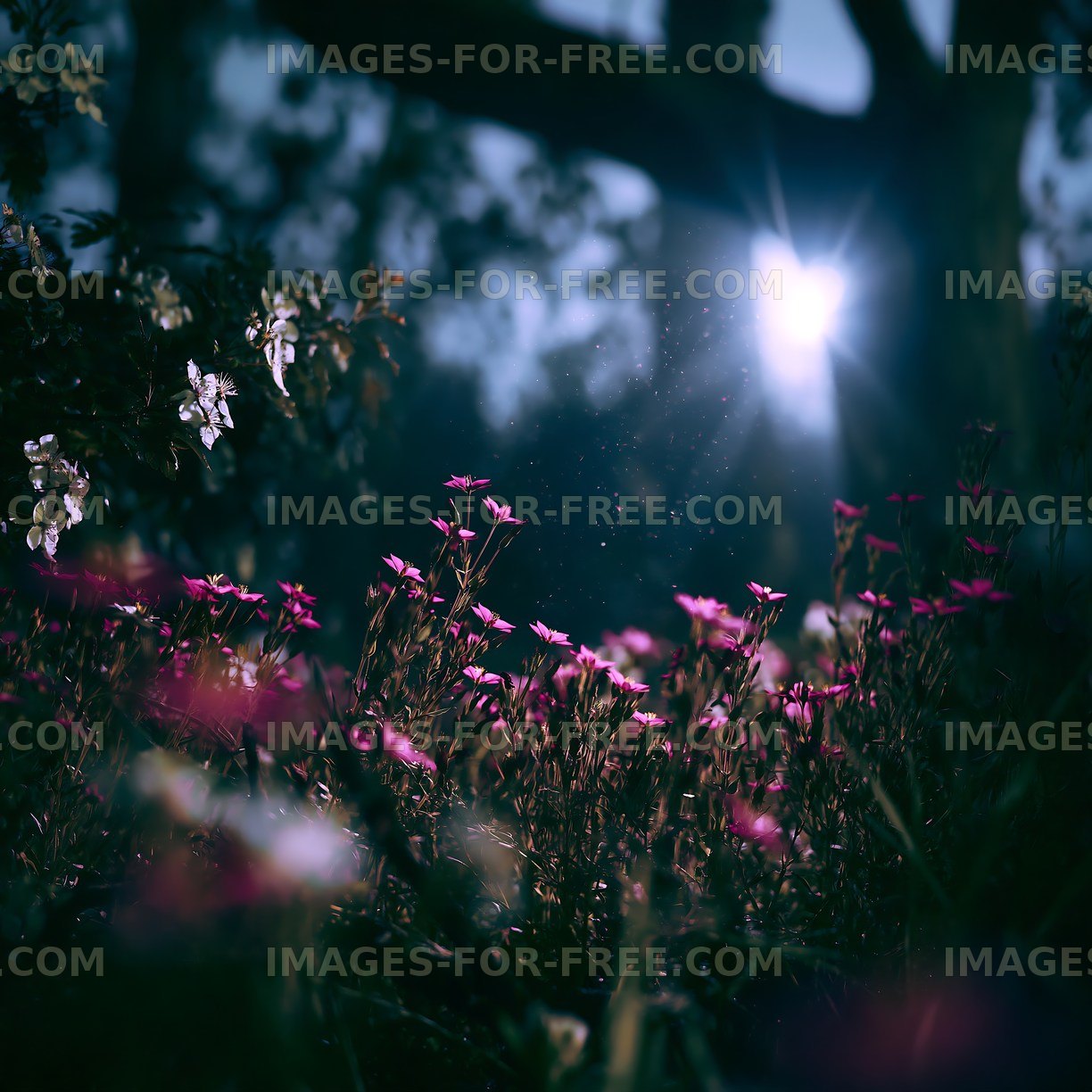 Flowers illuminated by sunlight in a forest setting
