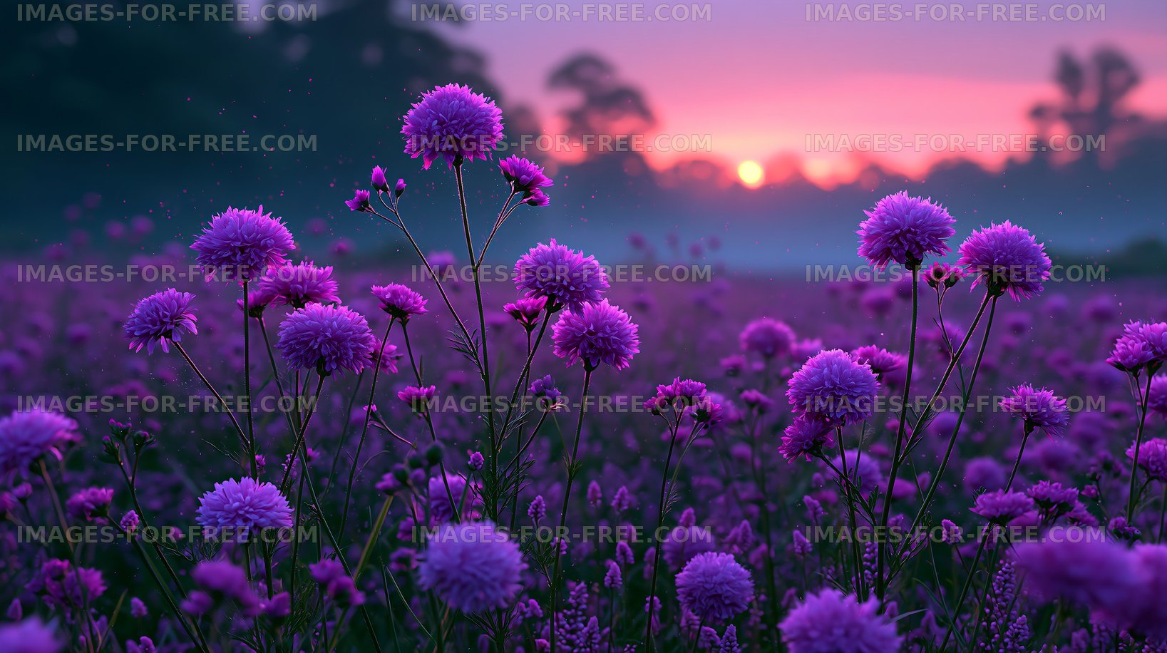Vibrant purple flowers at sunrise in a misty landscape