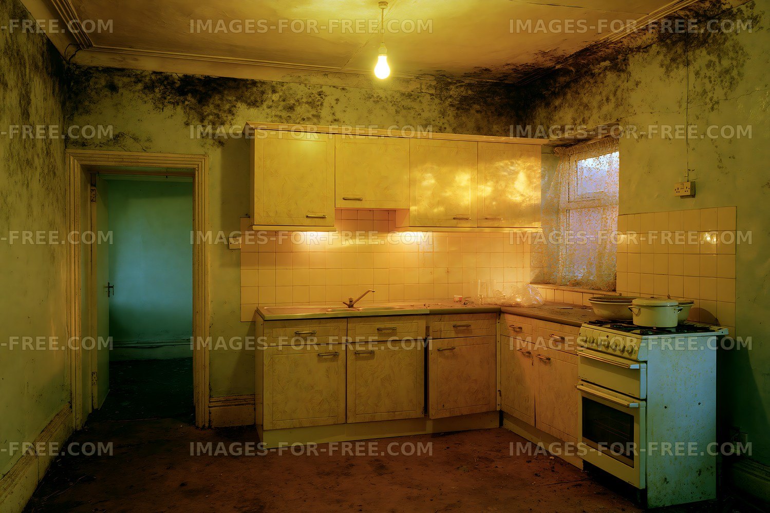 Abandoned kitchen with peeling walls and broken appliances