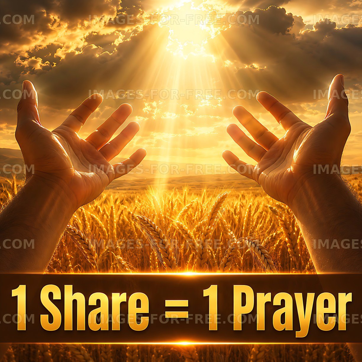 Hands reaching towards sunlight over a golden field