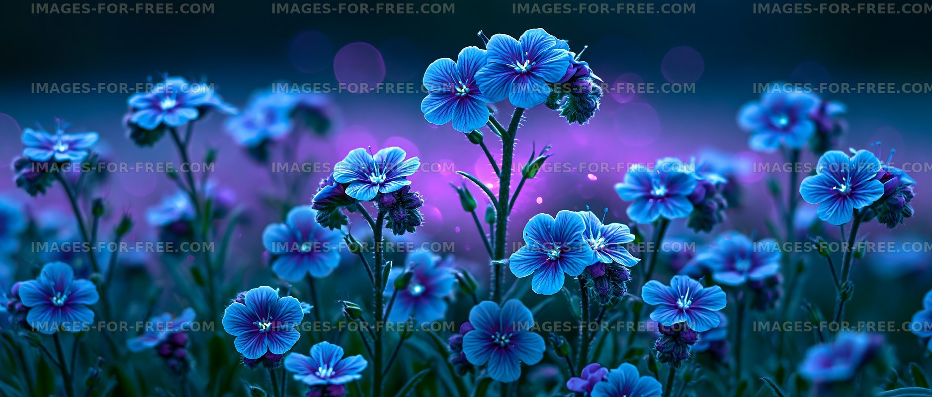 Blossoming blue flowers in twilight setting