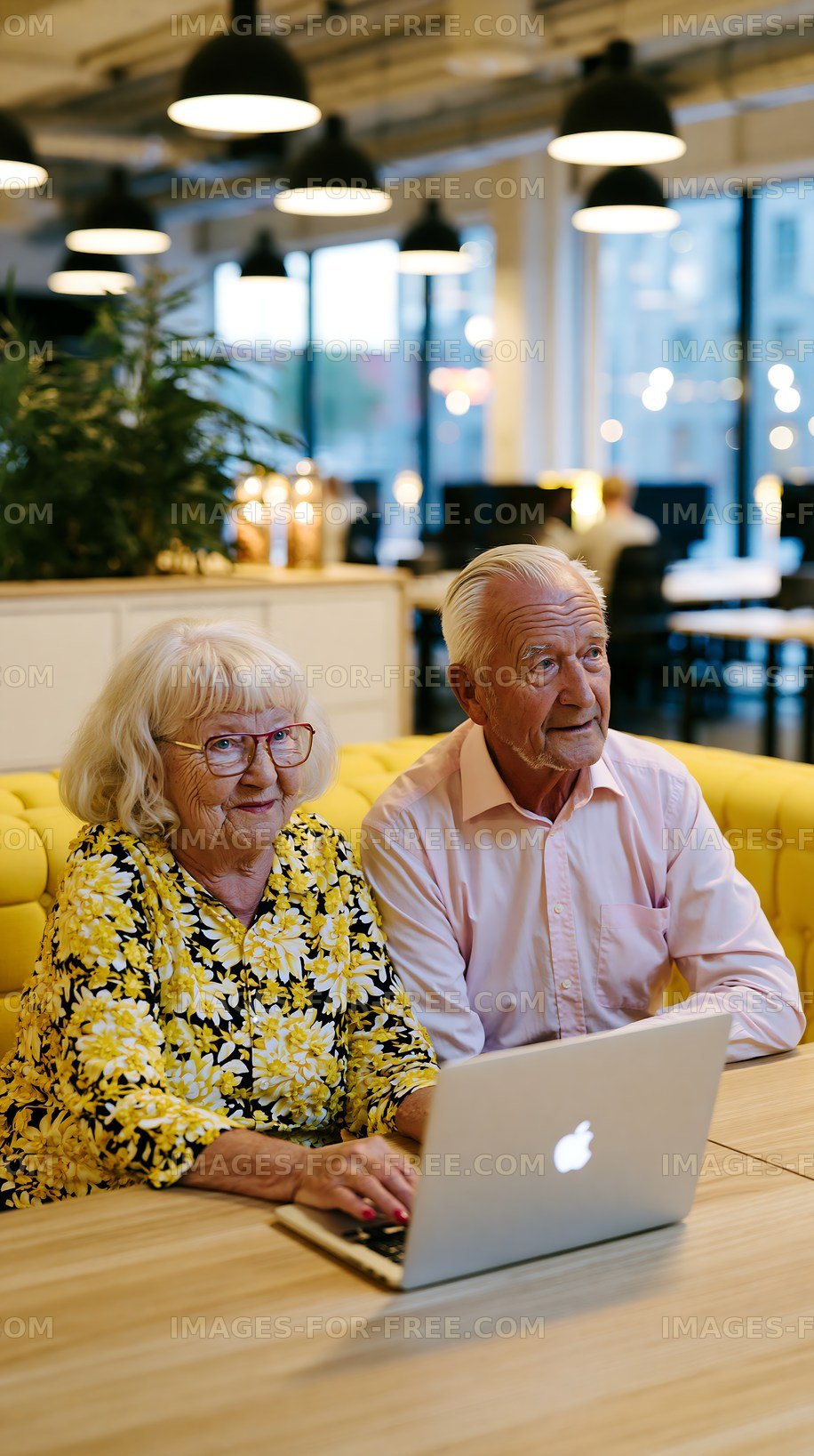 Elderly couple using laptop in modern office setting