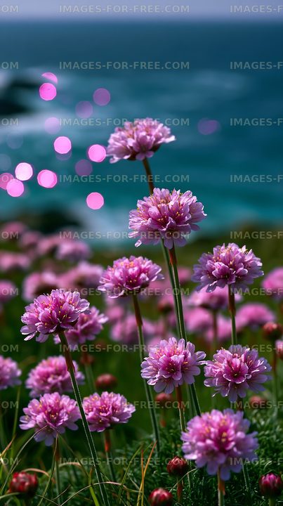 Purple flowers bloom near the ocean shoreline