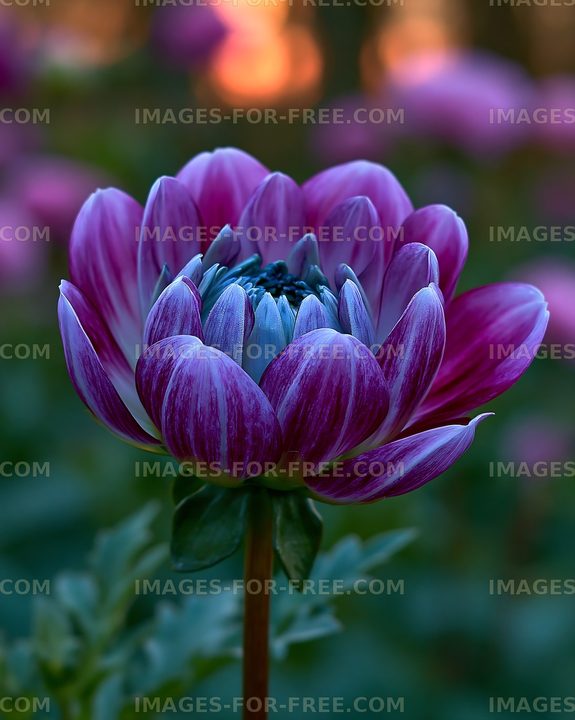 Vibrant purple flower blooming in a garden at sunset
