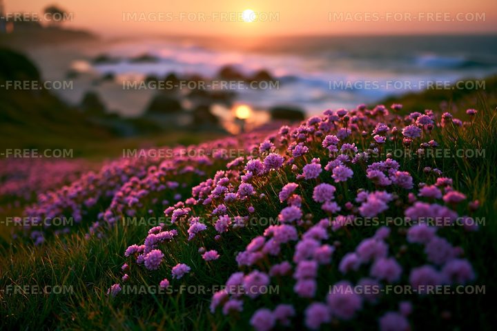 Sunset over ocean waves with flowers in the foreground