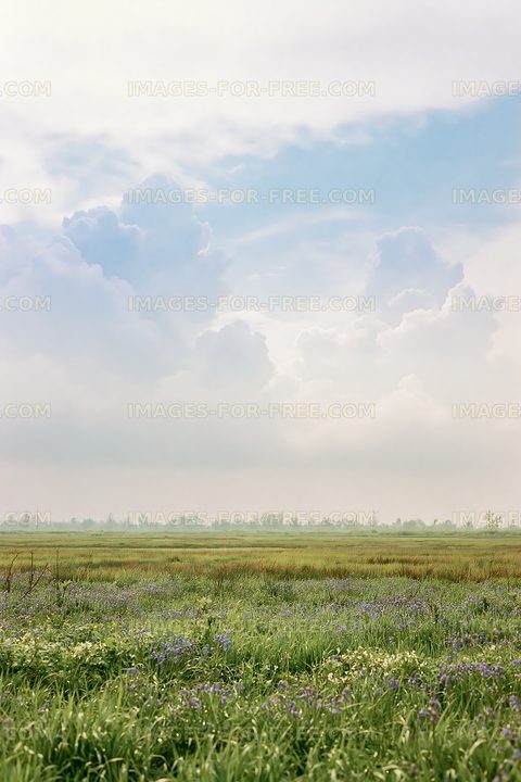 Vast green field with clouds and blue sky in the background