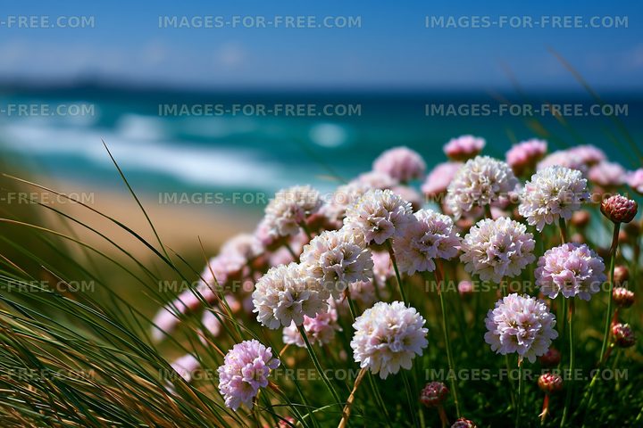 Flowers near the beach with waves in the background