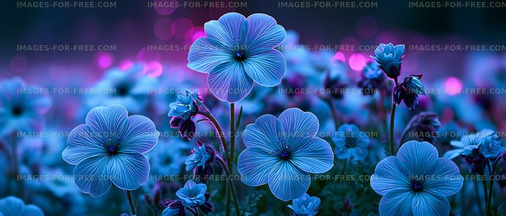 Colorful flowers in a dark landscape with vivid bokeh lights