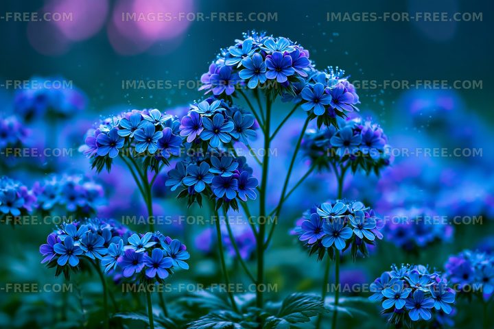Vibrant blue flowers in a garden during twilight